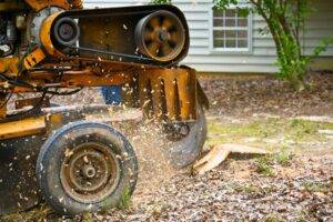 Case Studies 8 Stump Grinding Case Study