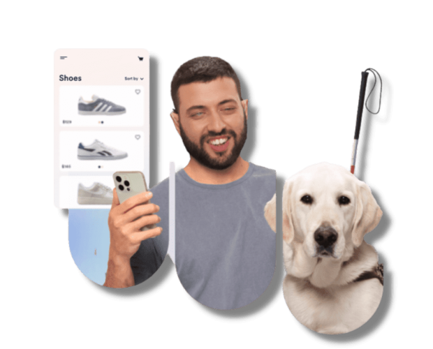 Web Accessibility