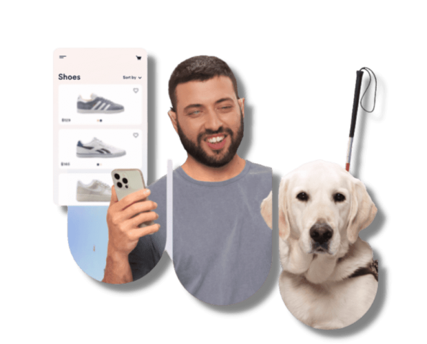 Web Accessibility